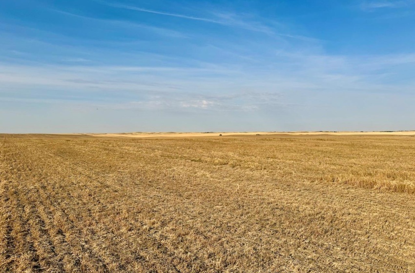 Rural Address, Snipe Lake Rm No. 259, Saskatchewan S0L 0B3, ,Farm,For Sale,Wartime West 1,118 acres Grain Farmland,Rural Address,SK984767