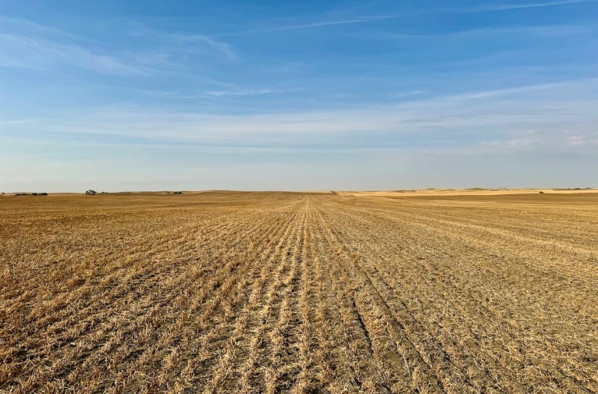 Rural Address, Snipe Lake Rm No. 259, Saskatchewan S0L 0B3, ,Farm,For Sale,Wartime West 1,118 acres Grain Farmland,Rural Address,SK984767