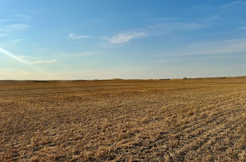 Rural Address, Snipe Lake Rm No. 259, Saskatchewan S0L 0B3, ,Farm,For Sale,Wartime West 1,118 acres Grain Farmland,Rural Address,SK984767