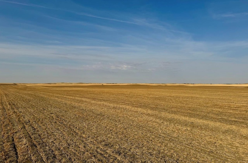 Rural Address, Snipe Lake Rm No. 259, Saskatchewan S0L 0B3, ,Farm,For Sale,Wartime West 1,118 acres Grain Farmland,Rural Address,SK984767