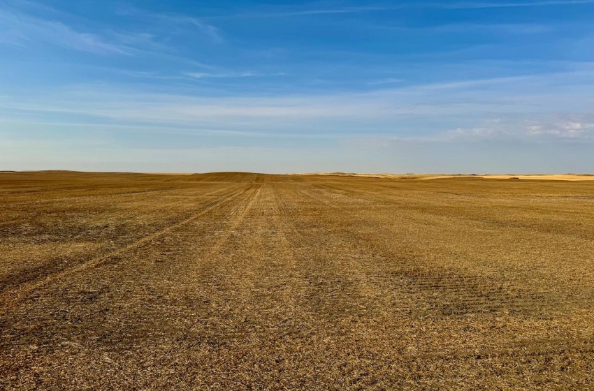 Rural Address, Snipe Lake Rm No. 259, Saskatchewan S0L 0B3, ,Farm,For Sale,Wartime West 1,118 acres Grain Farmland,Rural Address,SK984767