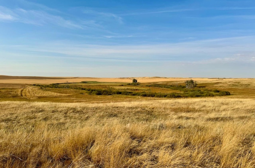 Rural Address, Snipe Lake Rm No. 259, Saskatchewan S0L 0B3, ,Farm,For Sale,Wartime West 1,118 acres Grain Farmland,Rural Address,SK984767