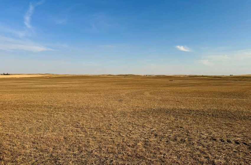 Rural Address, Snipe Lake Rm No. 259, Saskatchewan S0L 0B3, ,Farm,For Sale,Wartime West 1,118 acres Grain Farmland,Rural Address,SK984767