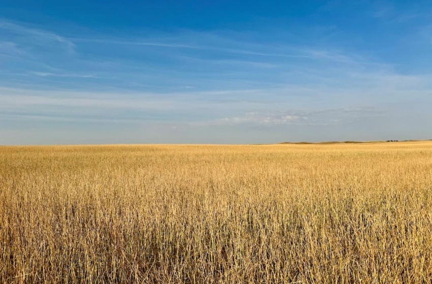 Rural Address, Snipe Lake Rm No. 259, Saskatchewan S0L 0B3, ,Farm,For Sale,Wartime West 1,118 acres Grain Farmland,Rural Address,SK984767