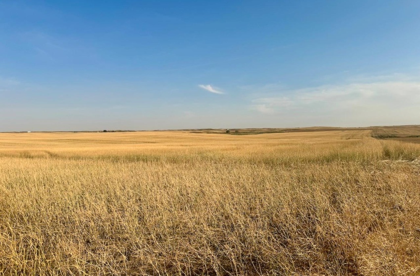 Rural Address, Snipe Lake Rm No. 259, Saskatchewan S0L 0B3, ,Farm,For Sale,Wartime West 1,118 acres Grain Farmland,Rural Address,SK984767