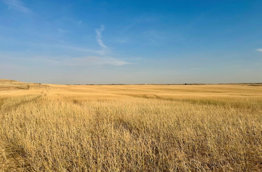 Rural Address, Snipe Lake Rm No. 259, Saskatchewan S0L 0B3, ,Farm,For Sale,Wartime West 1,118 acres Grain Farmland,Rural Address,SK984767