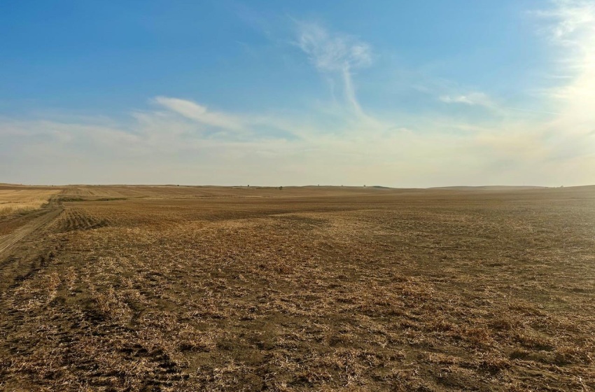 Rural Address, Snipe Lake Rm No. 259, Saskatchewan S0L 0B3, ,Farm,For Sale,Wartime West 1,118 acres Grain Farmland,Rural Address,SK984767