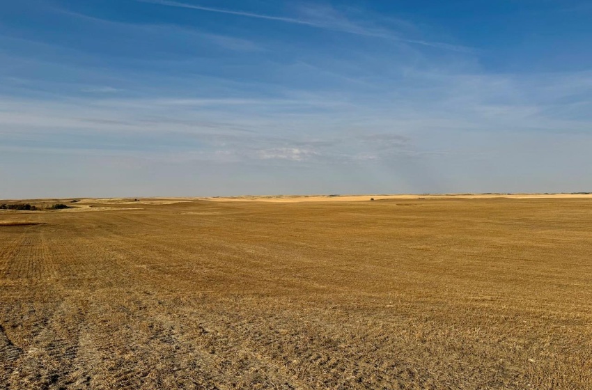 Rural Address, Snipe Lake Rm No. 259, Saskatchewan S0L 0B3, ,Farm,For Sale,Wartime West 1,118 acres Grain Farmland,Rural Address,SK984767