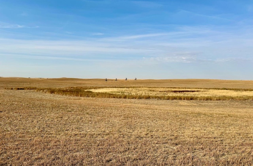 Rural Address, Snipe Lake Rm No. 259, Saskatchewan S0L 0B3, ,Farm,For Sale,Wartime West 1,118 acres Grain Farmland,Rural Address,SK984767