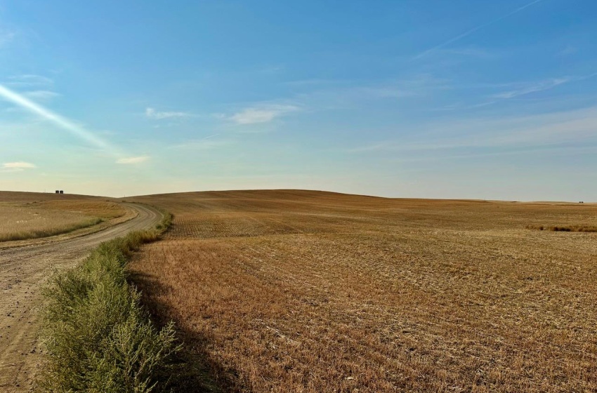 Rural Address, Snipe Lake Rm No. 259, Saskatchewan S0L 0B3, ,Farm,For Sale,Wartime West 1,118 acres Grain Farmland,Rural Address,SK984767