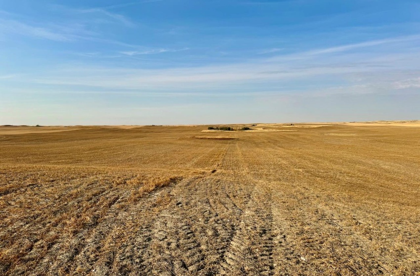 Rural Address, Snipe Lake Rm No. 259, Saskatchewan S0L 0B3, ,Farm,For Sale,Wartime West 1,118 acres Grain Farmland,Rural Address,SK984767