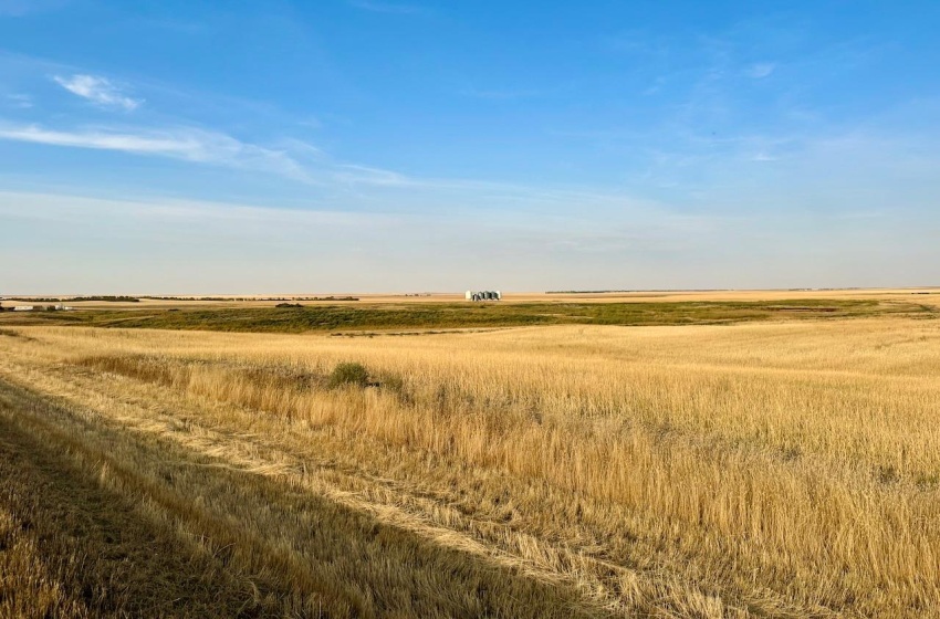 Rural Address, Monet Rm No. 257, Saskatchewan S0L 0B3, ,Farm,For Sale,Wartime East 1,230 acres Grain Farmland,Rural Address,SK984770