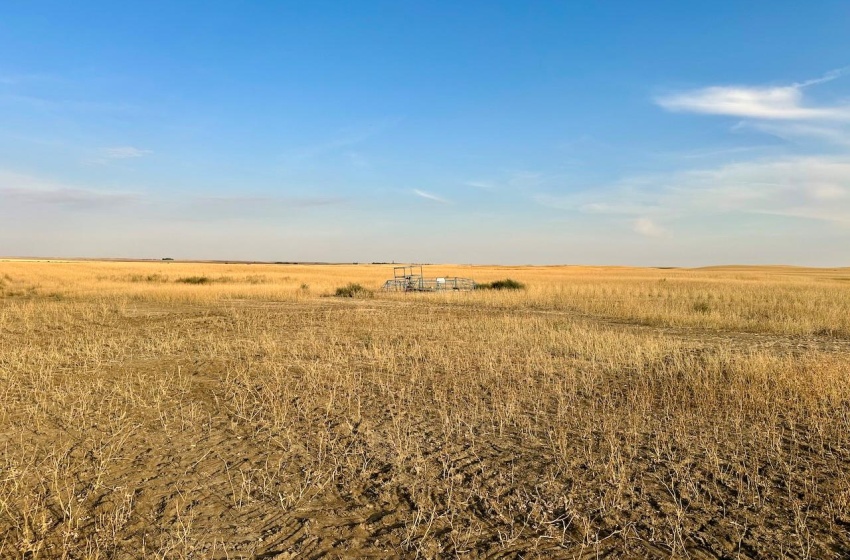 Rural Address, Monet Rm No. 257, Saskatchewan S0L 0B3, ,Farm,For Sale,Wartime East 1,230 acres Grain Farmland,Rural Address,SK984770