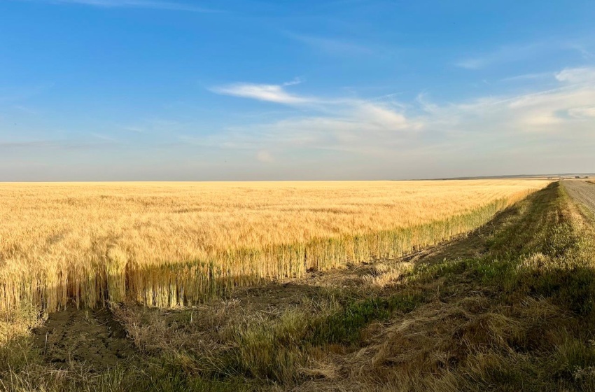 Rural Address, Monet Rm No. 257, Saskatchewan S0L 0B3, ,Farm,For Sale,Wartime East 1,230 acres Grain Farmland,Rural Address,SK984770