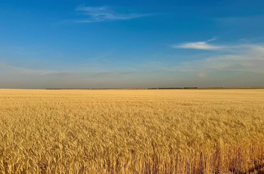 Rural Address, Monet Rm No. 257, Saskatchewan S0L 0B3, ,Farm,For Sale,Wartime East 1,230 acres Grain Farmland,Rural Address,SK984770