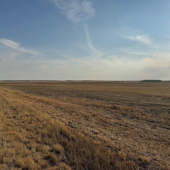 Rural Address, Monet Rm No. 257, Saskatchewan S0L 0B3, ,Farm,For Sale,Wartime East 1,230 acres Grain Farmland,Rural Address,SK984770