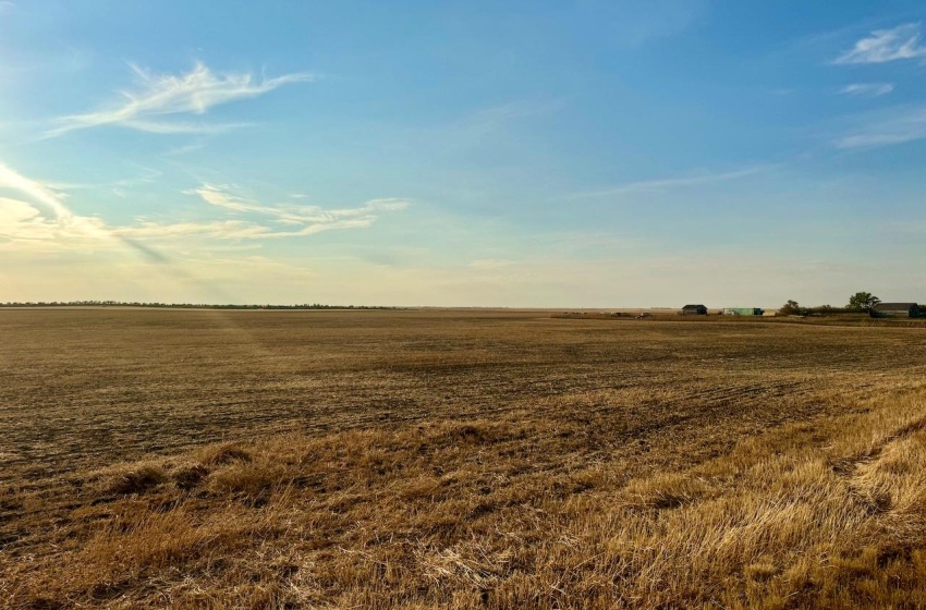 Rural Address, Monet Rm No. 257, Saskatchewan S0L 0B3, ,Farm,For Sale,Wartime East 1,230 acres Grain Farmland,Rural Address,SK984770