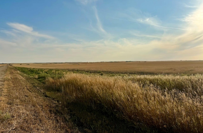 Rural Address, Monet Rm No. 257, Saskatchewan S0L 0B3, ,Farm,For Sale,Wartime East 1,230 acres Grain Farmland,Rural Address,SK984770