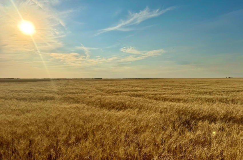 Rural Address, Monet Rm No. 257, Saskatchewan S0L 0B3, ,Farm,For Sale,Wartime East 1,230 acres Grain Farmland,Rural Address,SK984770