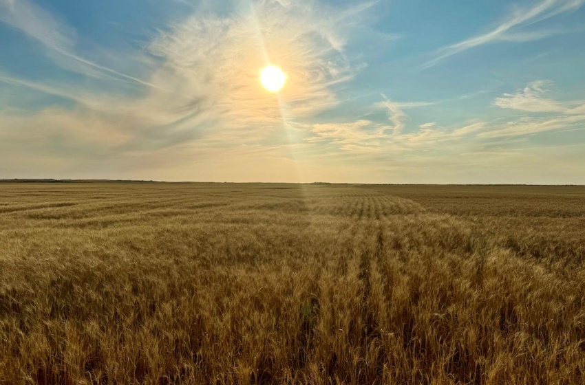 Rural Address, Monet Rm No. 257, Saskatchewan S0L 0B3, ,Farm,For Sale,Wartime East 1,230 acres Grain Farmland,Rural Address,SK984770