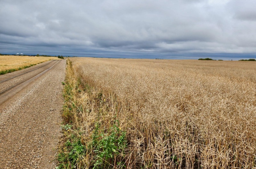 Rural Address, Lipton Rm No. 217, Saskatchewan S0G 1H0, ,Farm,For Sale,Dysart 484 Acres Grain Farmland (B),Rural Address,SK985296