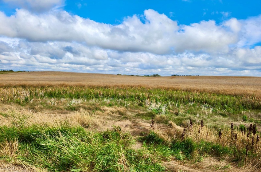 Rural Address, Lipton Rm No. 217, Saskatchewan S0G 1H0, ,Farm,For Sale,Dysart 484 Acres Grain Farmland (B),Rural Address,SK985296