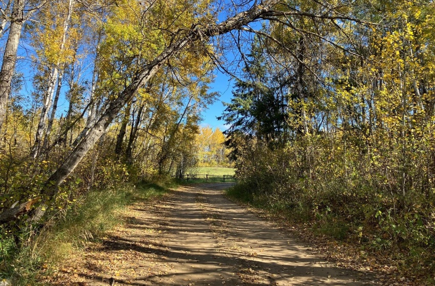 Rural Address, Nipawin Rm No. 487, Saskatchewan S0E 1E0, 2 Bedrooms Bedrooms, ,1 BathroomBathrooms,Farm,For Sale,Farm in RM of Nipawin,Rural Address,SK985313