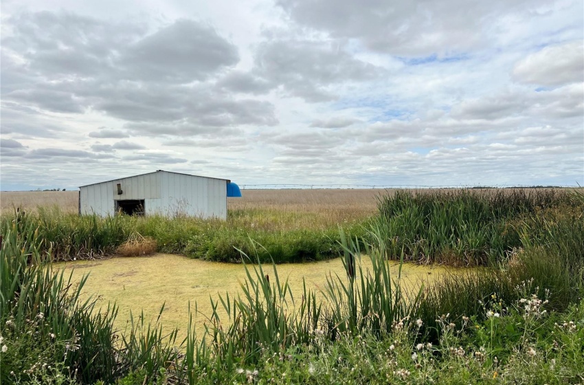 Rural Address, Wreford Rm No. 280, Saskatchewan S0G 3R0, ,Farm,For Sale,Richard Penrose Farms,Rural Address,SK985400