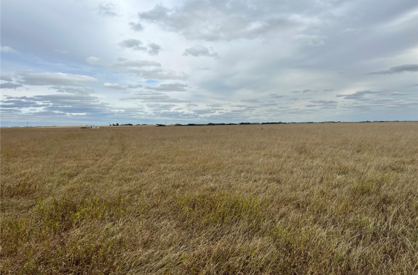 Rural Address, Wreford Rm No. 280, Saskatchewan S0G 3R0, ,Farm,For Sale,Richard Penrose Farms,Rural Address,SK985400