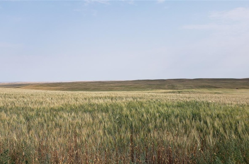 View of local wilderness featuring a rural view