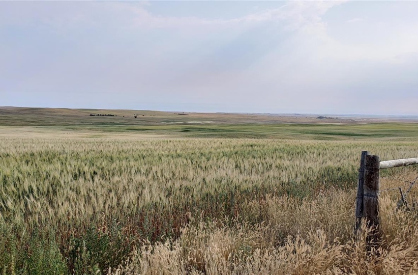 View of yard with a rural view