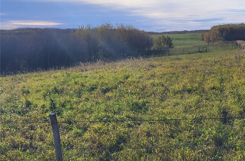 Rural Address, Glenside Rm No. 377, Saskatchewan S0K 4B0, ,Farm,For Sale,Sonningdale 484.9 acres Pastureland,Rural Address,SK985534