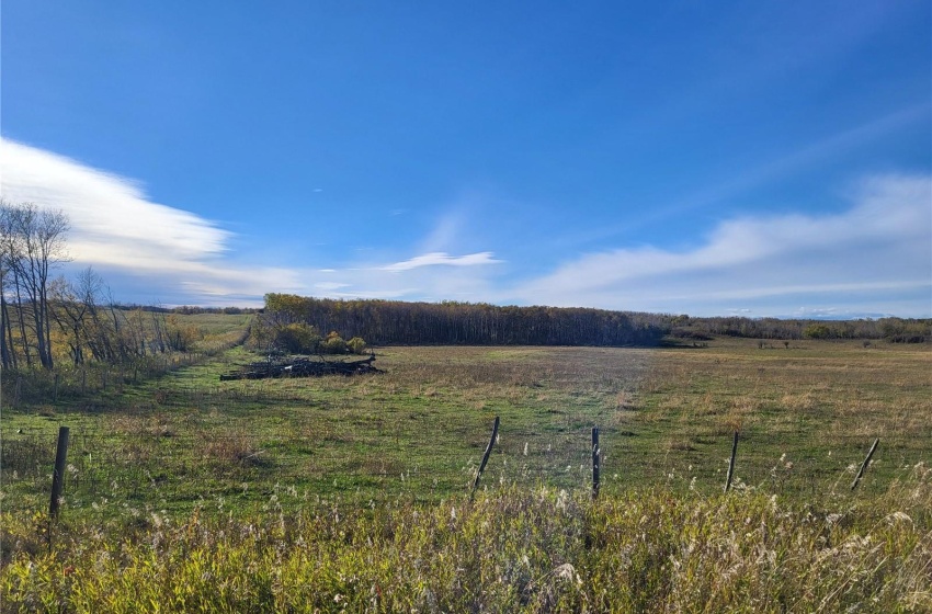 Rural Address, Glenside Rm No. 377, Saskatchewan S0K 4B0, ,Farm,For Sale,Sonningdale 484.9 acres Pastureland,Rural Address,SK985534