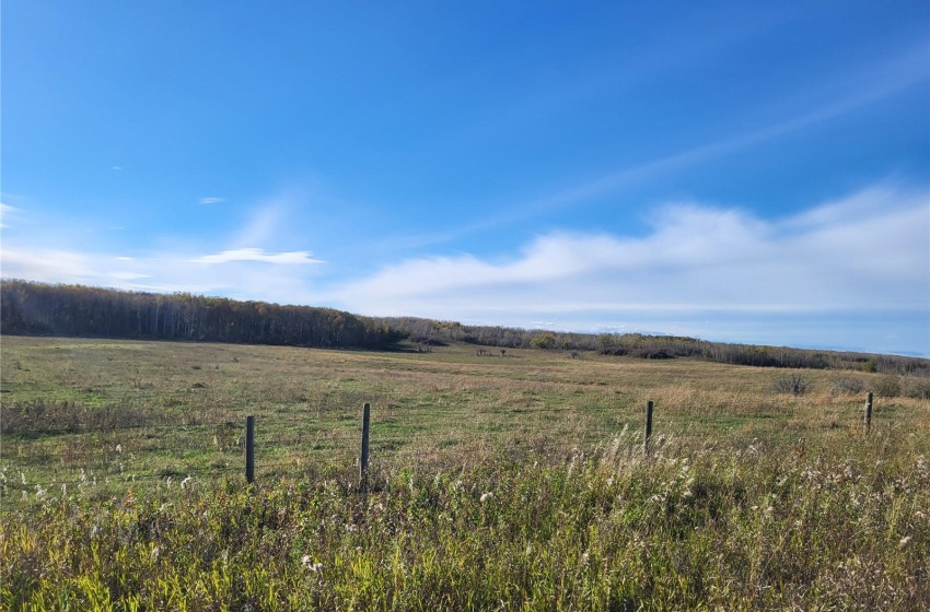 Rural Address, Glenside Rm No. 377, Saskatchewan S0K 4B0, ,Farm,For Sale,Sonningdale 484.9 acres Pastureland,Rural Address,SK985534