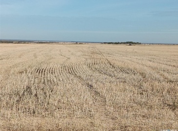 Rural Address, Arborfield Rm No. 456, Saskatchewan S0E 0A0, ,Farm,For Sale,Arborfield 465 acres Grain Farmland,Rural Address,SK985646