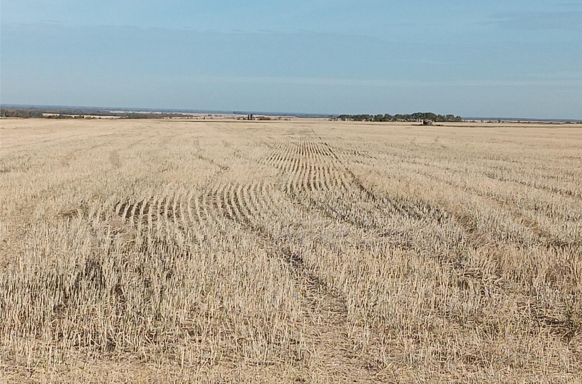 Rural Address, Arborfield Rm No. 456, Saskatchewan S0E 0A0, ,Farm,For Sale,Arborfield 465 acres Grain Farmland,Rural Address,SK985646