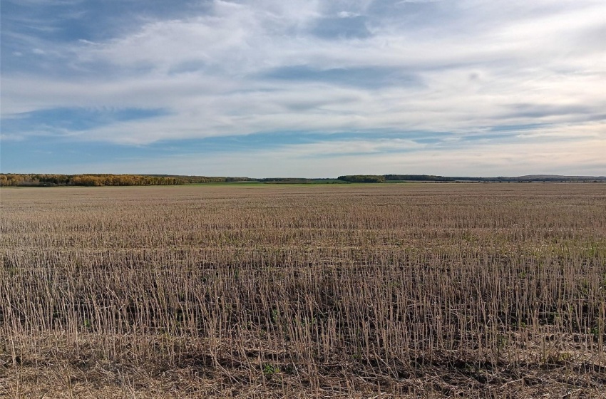 Rural Address, Arborfield Rm No. 456, Saskatchewan S0E 0A0, ,Farm,For Sale,Arborfield 465 acres Grain Farmland,Rural Address,SK985646