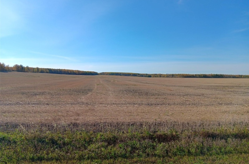 Rural Address, Arborfield Rm No. 456, Saskatchewan S0E 0A0, ,Farm,For Sale,Arborfield 465 acres Grain Farmland,Rural Address,SK985646