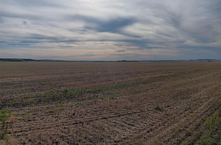 Rural Address, Arborfield Rm No. 456, Saskatchewan S0E 0A0, ,Farm,For Sale,Arborfield 465 acres Grain Farmland,Rural Address,SK985646