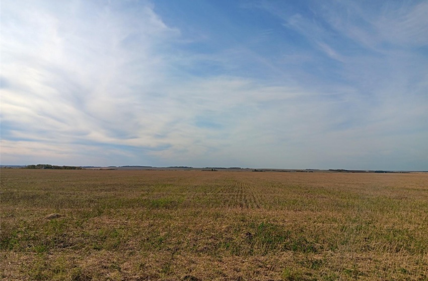 Rural Address, Arborfield Rm No. 456, Saskatchewan S0E 0A0, ,Farm,For Sale,Arborfield 465 acres Grain Farmland,Rural Address,SK985646