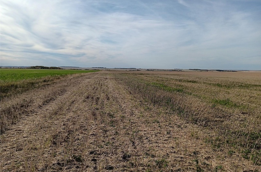 Rural Address, Arborfield Rm No. 456, Saskatchewan S0E 0A0, ,Farm,For Sale,Arborfield 465 acres Grain Farmland,Rural Address,SK985646