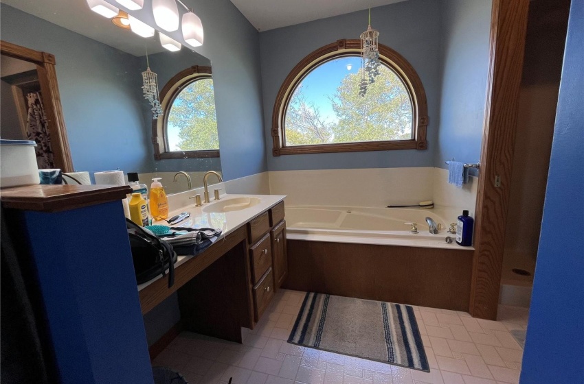 Bathroom featuring vanity, tile patterned flooring, and a washtub