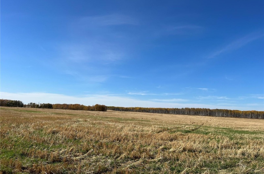 View of nature with a rural view