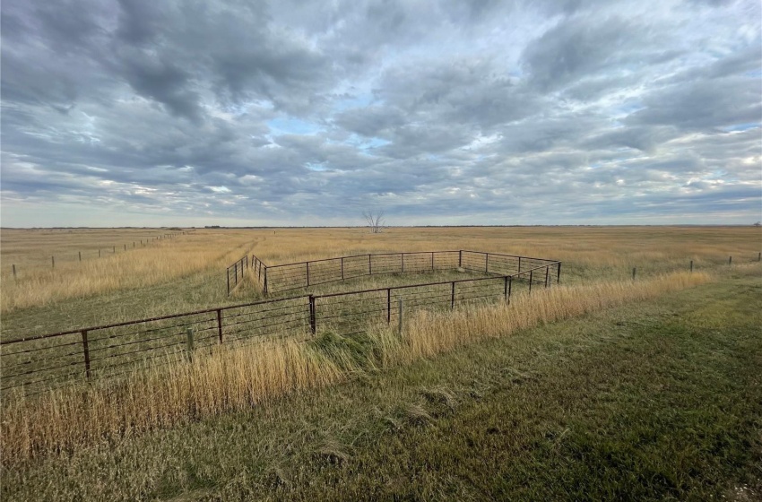 Rural Address, Fertile Valley Rm No. 285, Saskatchewan S0L 0L0, ,Farm,For Sale,Conquest 320 acres Hay, Pasture and Grain Farmland,Rural Address,SK985918