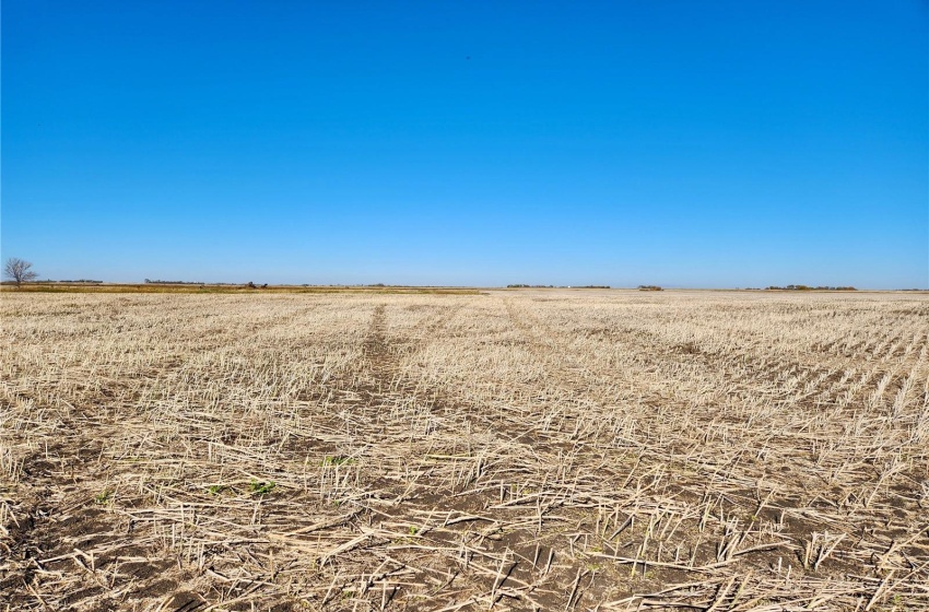 Rural Address, Wolseley Rm No. 155, Saskatchewan S0G 4W0, ,Farm,For Sale,Summerberry 146 Acres Grain Farmland,Rural Address,SK986117