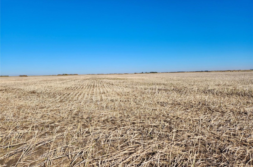 Rural Address, Wolseley Rm No. 155, Saskatchewan S0G 4W0, ,Farm,For Sale,Summerberry 146 Acres Grain Farmland,Rural Address,SK986117