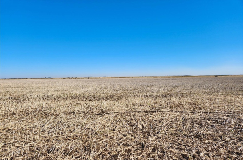 Rural Address, Wolseley Rm No. 155, Saskatchewan S0G 4W0, ,Farm,For Sale,Summerberry 146 Acres Grain Farmland,Rural Address,SK986117