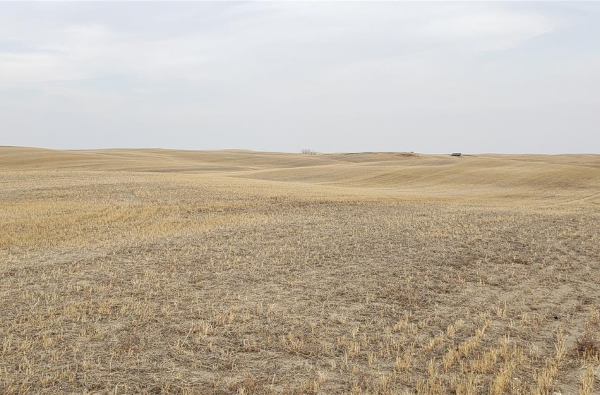 View of yard with a rural view