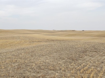 Rural Address, Sutton Rm No. 103, Saskatchewan S0H 3J0, ,Farm,For Sale,Palmer North Land,Rural Address,SK986523