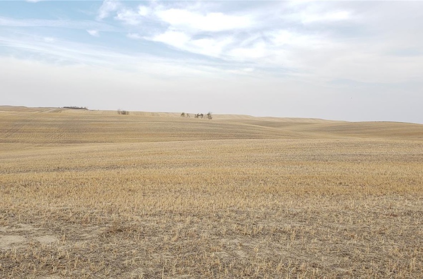 View of local wilderness featuring a rural view